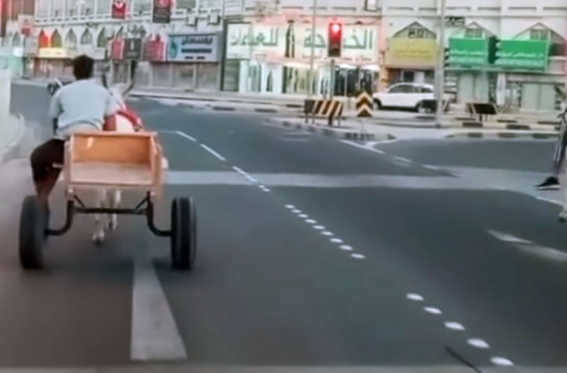 بالصور: يقطع الإشارة الحمراء مع حماره وزعلان