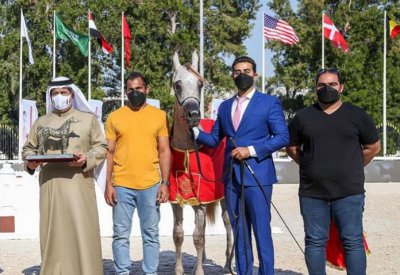 بداية مميزة للمشاركة البحرينية في بطولة أبوظبي الدولية لجمال الخيل العربية