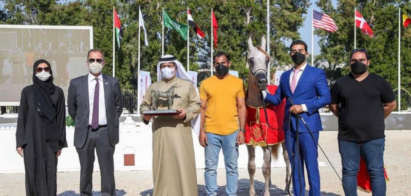 بداية مميزة للمشاركة البحرينية في بطولة أبوظبي الدولية لجمال الخيل العربية