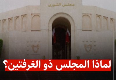 بالفيديو: لماذا السلطة التشريعية من غرفتين..؟