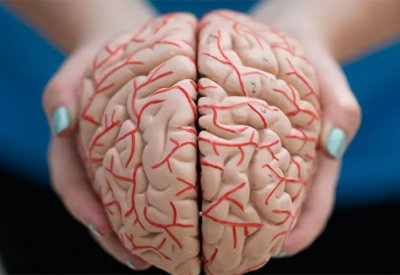 "المفيد لقلبك جيد لعقلك".. وصفة سهلة وسحرية لذاكرة أفضل