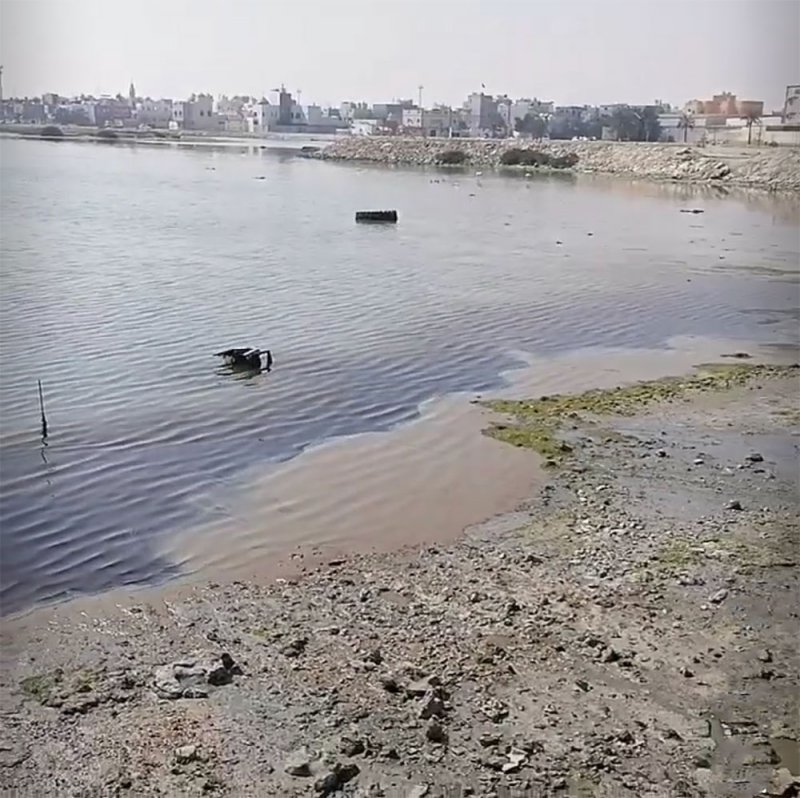 مواطن يصوّر جريمة بيئية.. والمجلس الأعلى يعترض المخالفين