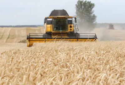 الطاقة والأمن الغذائي.. كيف تربك روسيا السوق العالمية"