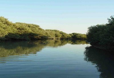 مدير في الاشغال: خليج توبلي "مقبرة"