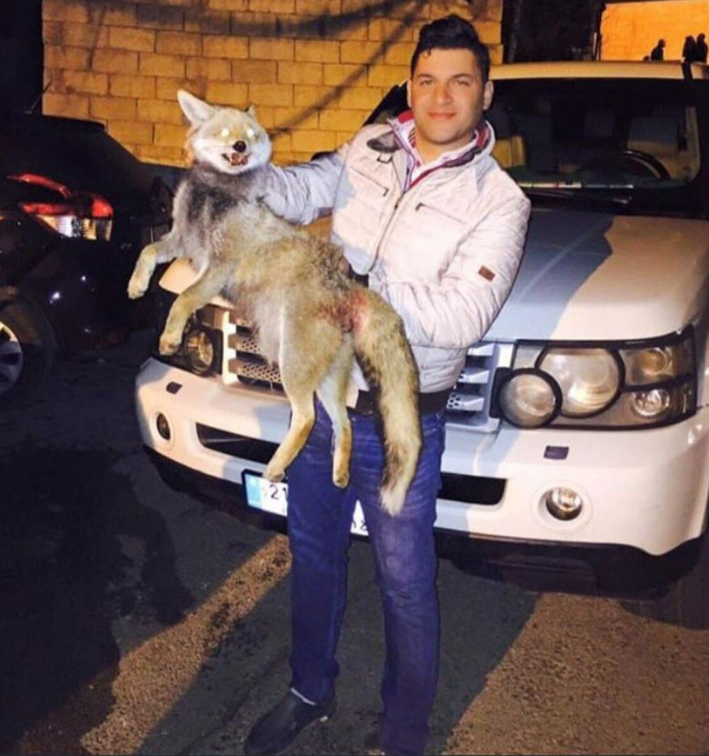 منفّذ جريمة أنصار حسين فياض