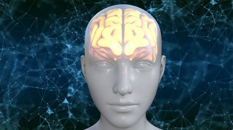 حقيقة أم خيال؟ هل يتحكم "قانون الجذب" في شخصية الإنسان؟