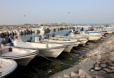 لا رخصة صيد لهذه الفئة.. وهذه الأسباب
