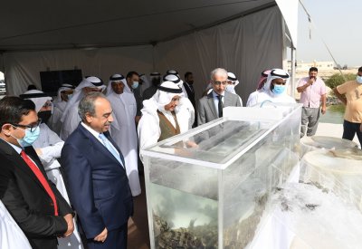 بالصور: إطلاق 100 ألف سمكة.. وهذه أصنافها
