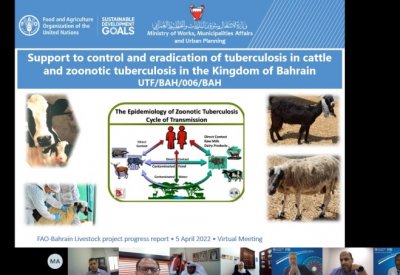 بالتفاصيل: مشروع استراتيجي لإنتاج الغذاء.. والبحرين خالية من هذه الأمراض