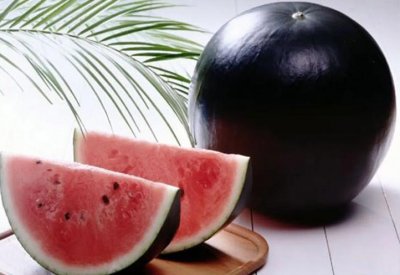 الأغلى في العالم.. هل سمعت بـ"البطيخ الأسود"؟