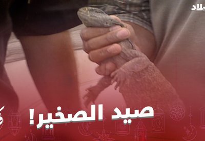 حلقة اليوم من فكر واربح غير شاركونا ذكرياتكم في البر