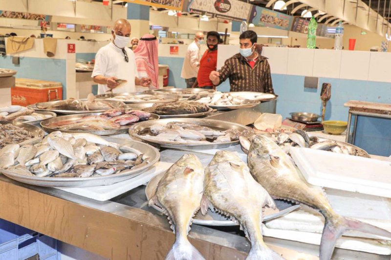 شح الهامور والكعند يرفع أسعار الأسماك بالسوق المركزي