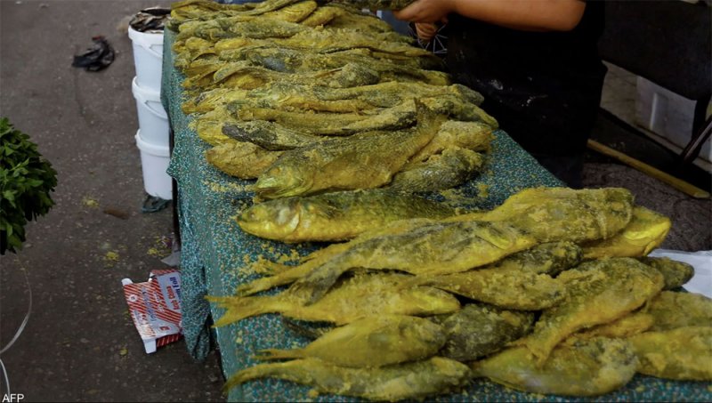 مع اقتراب عيد الفطر.. تحذير من التسمم بالفسيخ في مصر