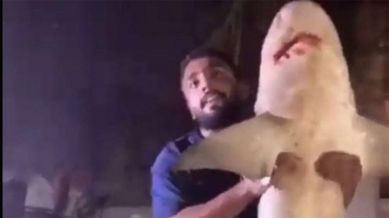 بالفيديو: سعودي يصطاد سمكة قرش بصنارة بكورنيش الدمام