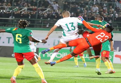 "فيفا" يحسم ملف مباراة الجزائر والكاميرون