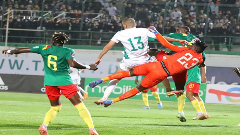 "فيفا" يحسم ملف مباراة الجزائر والكاميرون