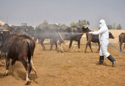 العراق.. وفاة جديدة بـ"الحمى النزفية"