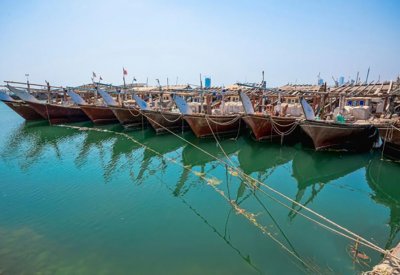 قانون النوخذه المعطل الحل الوحيد لإنقاذ ما تبقى من الثروات البحرية