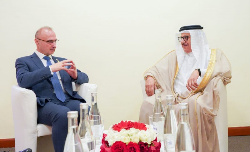 وزير الخارجية يجتمع مع وزير الخارجية والشؤون الأوروبية بجمهورية كرواتيا