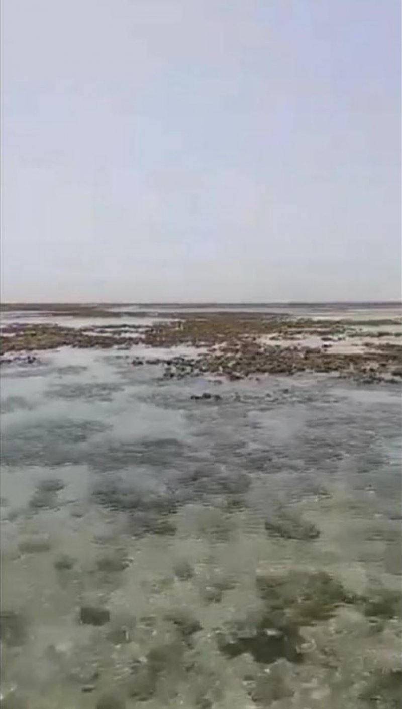 هذه حقيقة مقطع ساحل سترة المنتشر