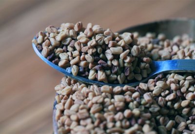 بذور الحلبة لتخفيض مستوى الكوليسترول
