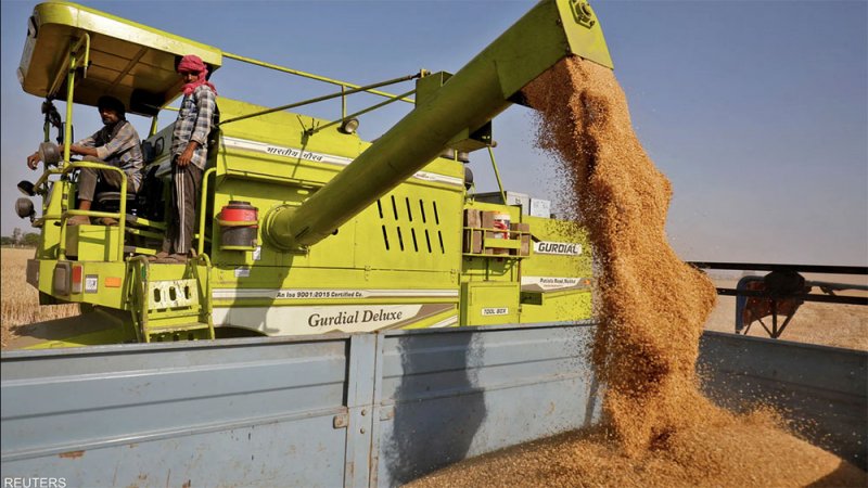 الهند منفتحة على تصدير القمح للدول المحتاجة رغم الحظر