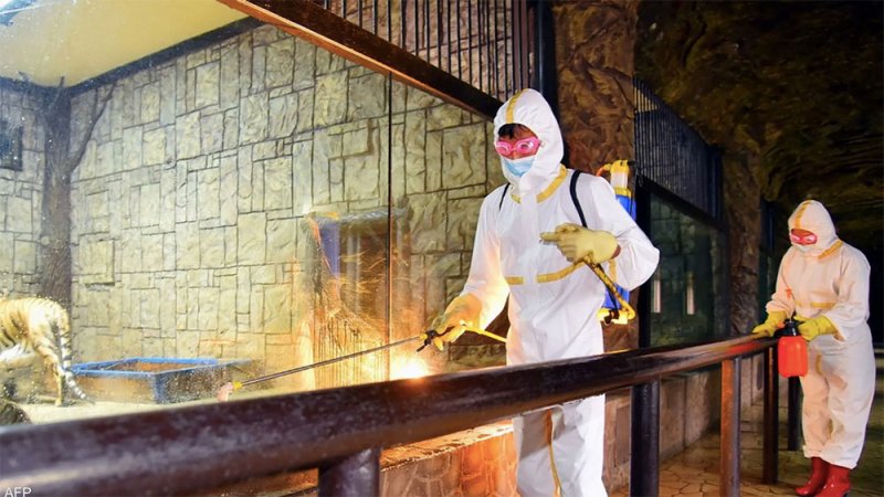 يونهاب: كوريا الشمالية تسجل أكثر من 200 ألف إصابة بـ"الحمى"