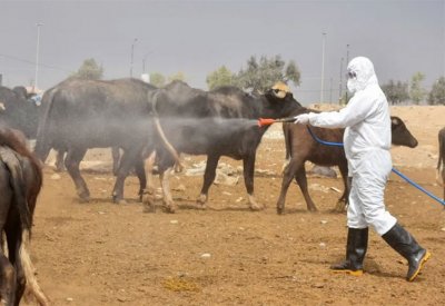 الحمى النزفية بالعراق.. الكشف عن عدد جديد للضحايا