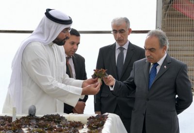 خلف يزور "مزارع الجزيرة" ويؤكد دعمه للمشاريع التي توظف هذه الأساليب.. تعرف عليها