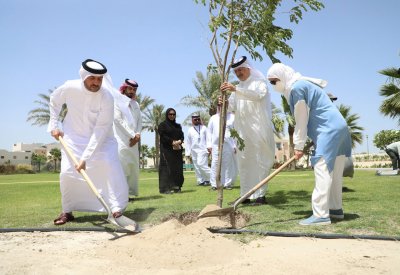 بالصور: تشجير وزيادة الرقعة الخضراء في هذه المواقع