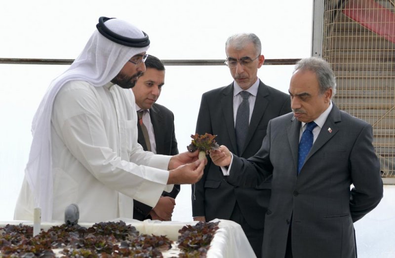 خلف يزور "مزارع الجزيرة" ويؤكد دعمه للمشاريع التي توظف هذه الأساليب.. تعرف عليها