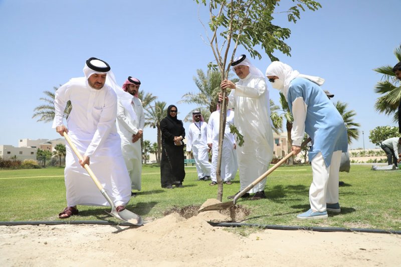 بالصور: تشجير وزيادة الرقعة الخضراء في هذه المواقع