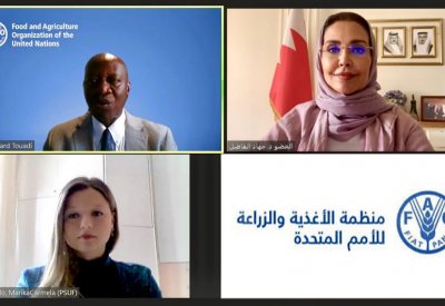جهاد الفاضل: جهود عالمية للأمن الغذائي
