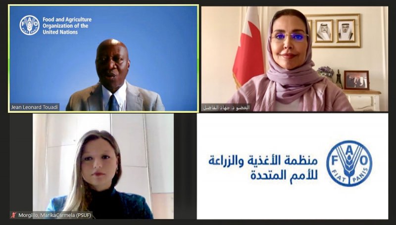 جهاد الفاضل: جهود عالمية للأمن الغذائي