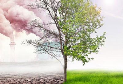 إجراءات وطنية للحد من تلوث البيئة البحرية والهواء ومواجهة الكوارث البيئية