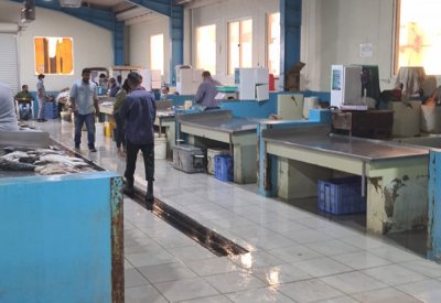 بالصور: سوق الأسماك بالمنامة خالية لهذا السبب