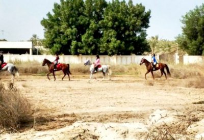 البحرين تمتلك مقومات سياحية لتكون وجهة عشاق رياضة ركوب الخيل