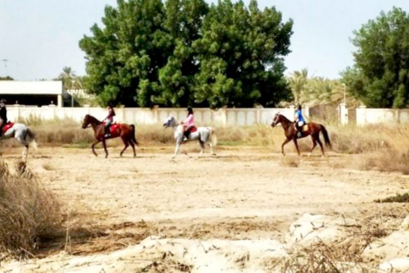 البحرين تمتلك مقومات سياحية لتكون وجهة عشاق رياضة ركوب الخيل