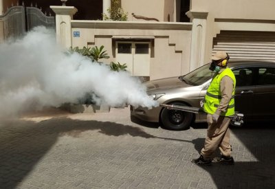 بالصور: "صحة البيئة"تكافح الحشرات والبعوض