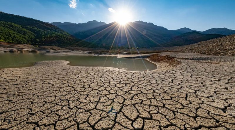 بعيداً عن الحرب الأوكرانية.. تهديد أشد فتكاً على أمن الغذاء العالمي