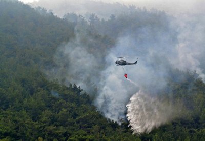 لبنان.. حريق يلتهم أجزاء من أكبر غابة صنوبر بالمنطقة