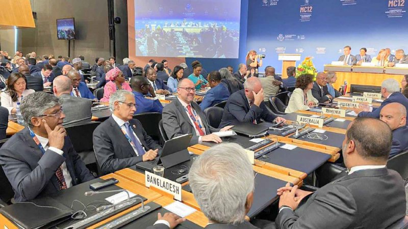 الزياني: عدم وضع معوقات أمام انتقال الأغذية في ظل أزمة الأمن الغذائي