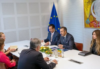 وكيل وزارة الخارجية للشؤون السياسية يلتقي رئيسة لجنة العلاقات مع شبه الجزيرة العربية بالبرلمان الأوروبي
