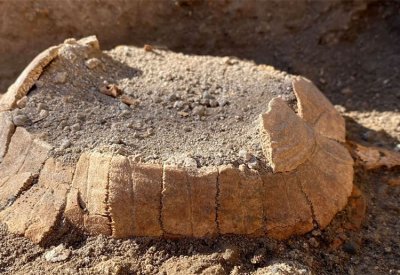 العثور على سلحفاة وبيضتها في تنقيب جديد في بومبي الأثرية