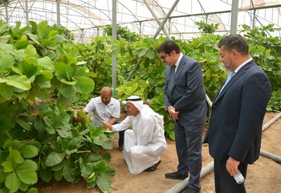 محافظ الشمالية يزور مزرعة حسين بهورة عالي