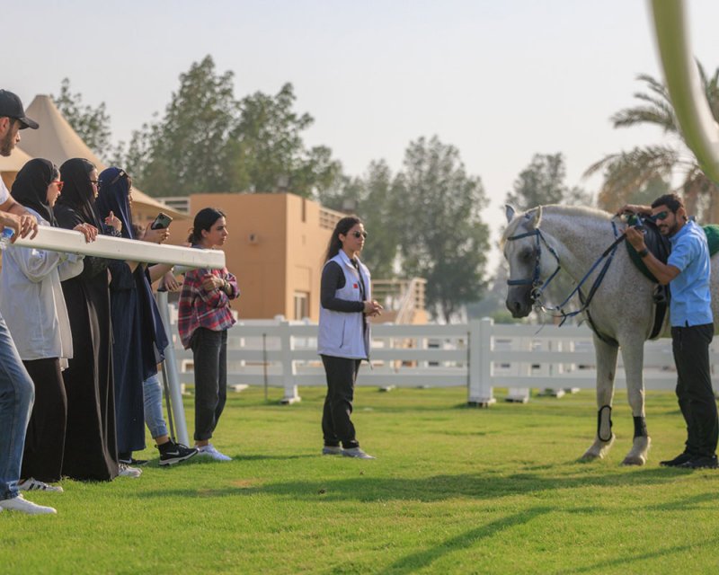 الاتحاد الملكي يستضيف متطوعين للتدرب على الخيل