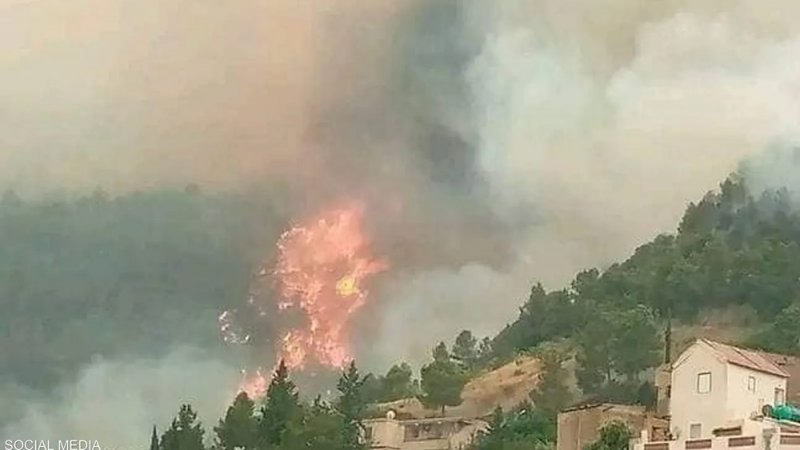 الجزائر: قتلى وجرحى في حرائق مستعرة.. وهذه الحصيلة