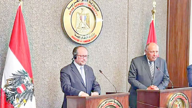مصر: نبذل الجهود لتجنب الحل العسكري في ليبيا