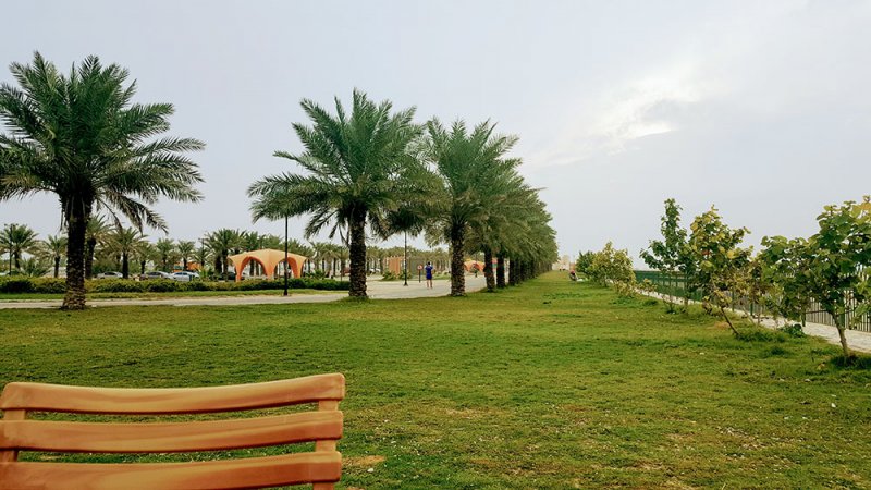 ممشى متطور نموذجي بمواصفات عالية الجودة في هذه المنطقة
