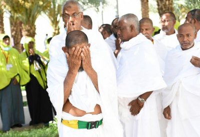 السعودية: اكتمال تفويج أكثر من 369 ألف حاج من المدينة المنورة إلى المشاعر المقدسة